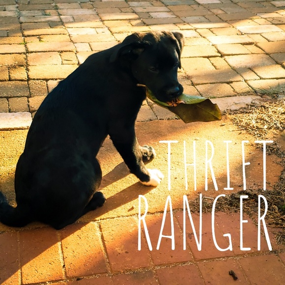 Meet your Posher, Lin - Picture 1 of 1